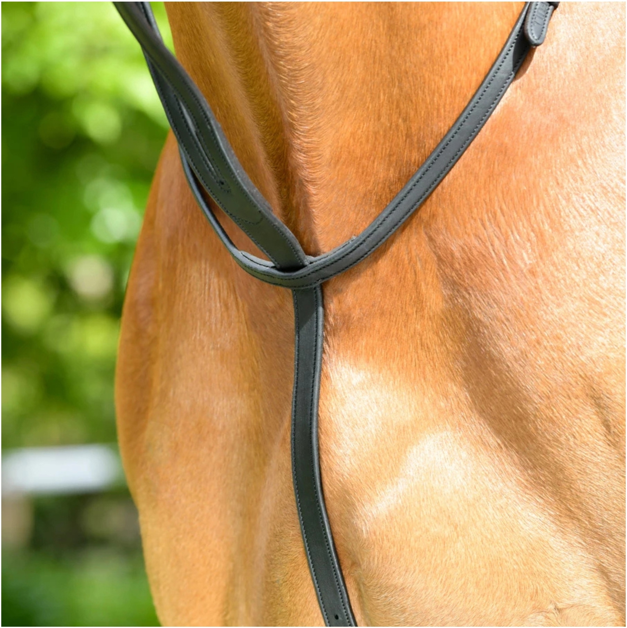 Collegiate Comfitec Opulux Plain Flat Running Martingale 1025461001 - Black